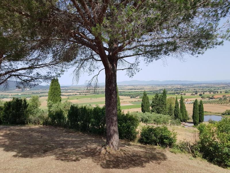 Poggio Alto Agrioturismo Villa Grosseto Exterior photo